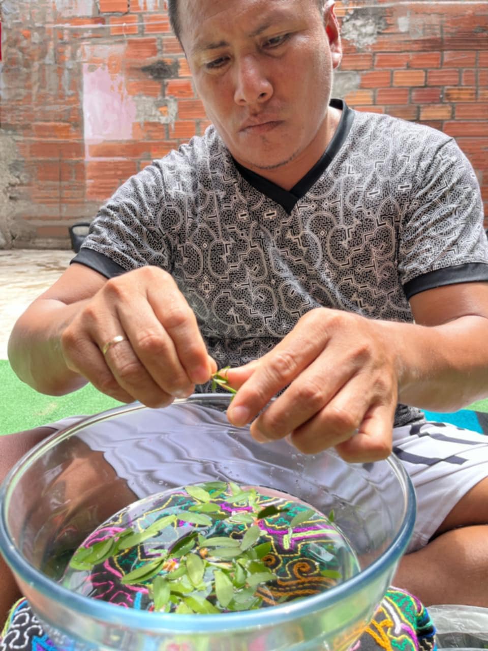 Ceremonial Plant Essence: Bobinsana