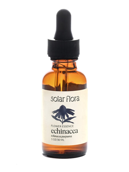 Flower Essence: Echinacea