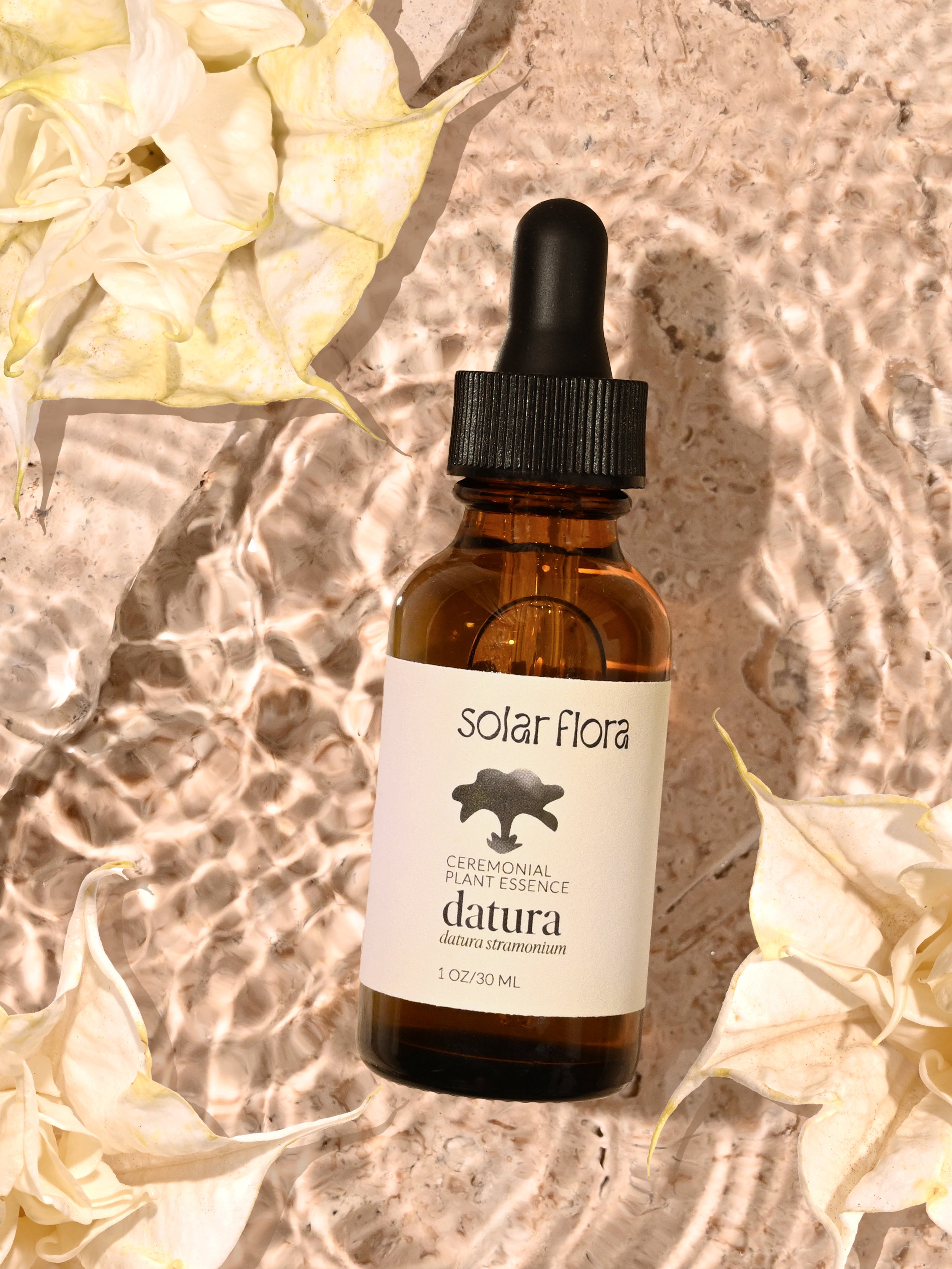 Solar Flora Ceremonial Plant Essence: Datura – Solar Flora