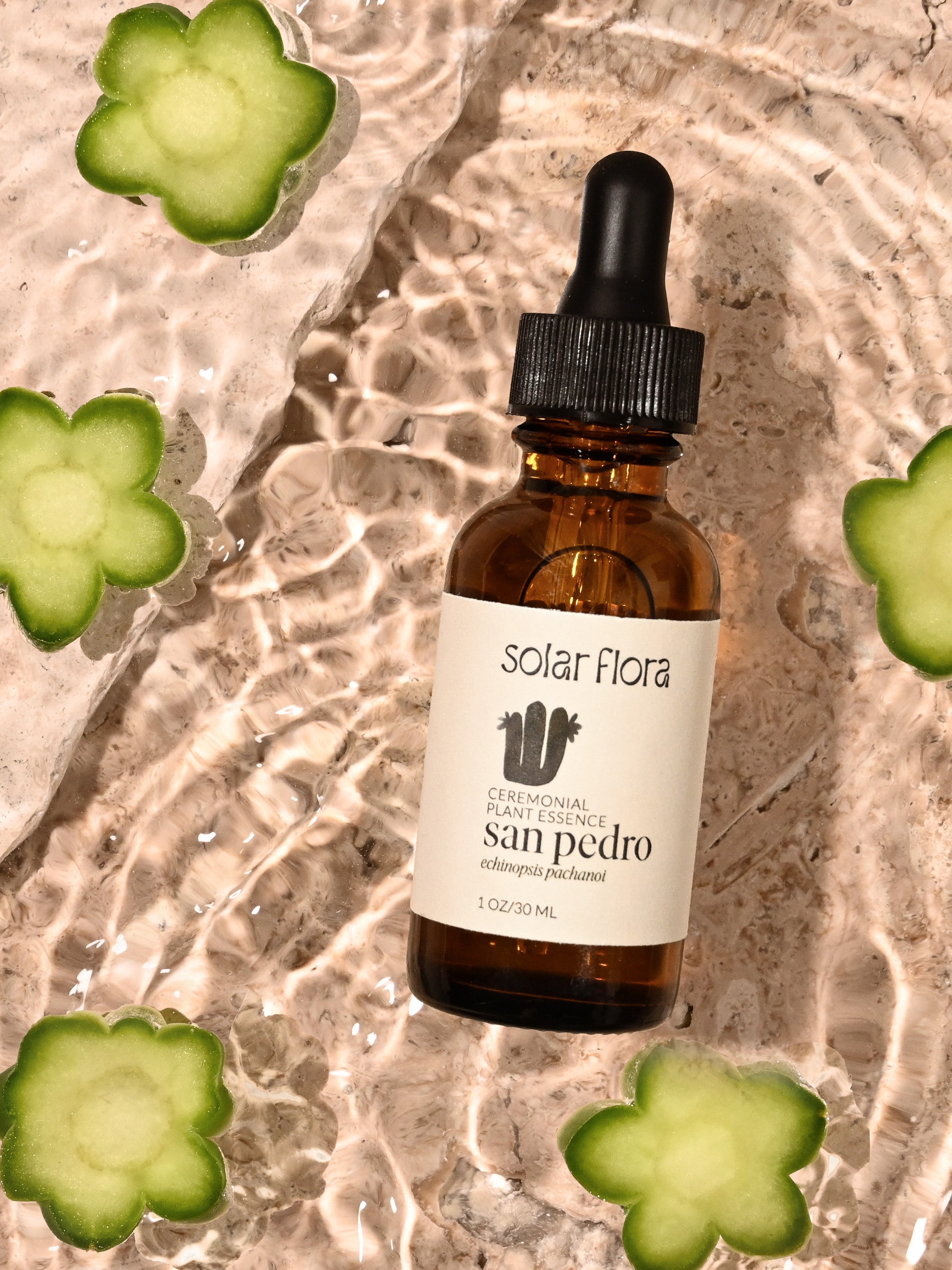 Solar Flora Ceremonial Plant Essence: San Pedro – Solar Flora