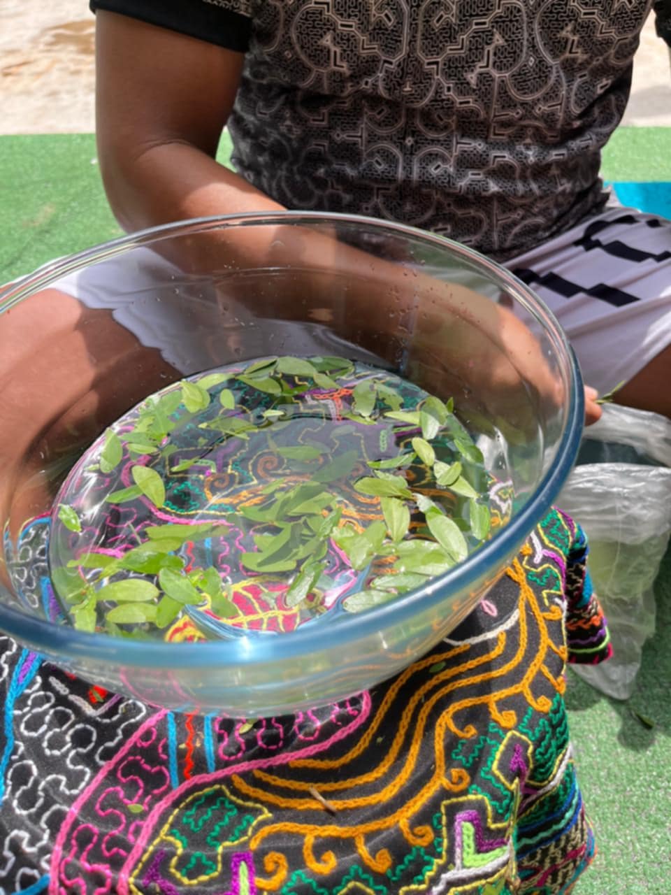 Ceremonial Plant Essence: Bobinsana