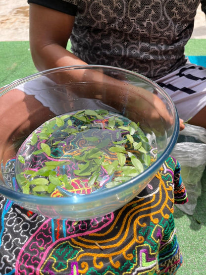 Ceremonial Plant Essence: Bobinsana