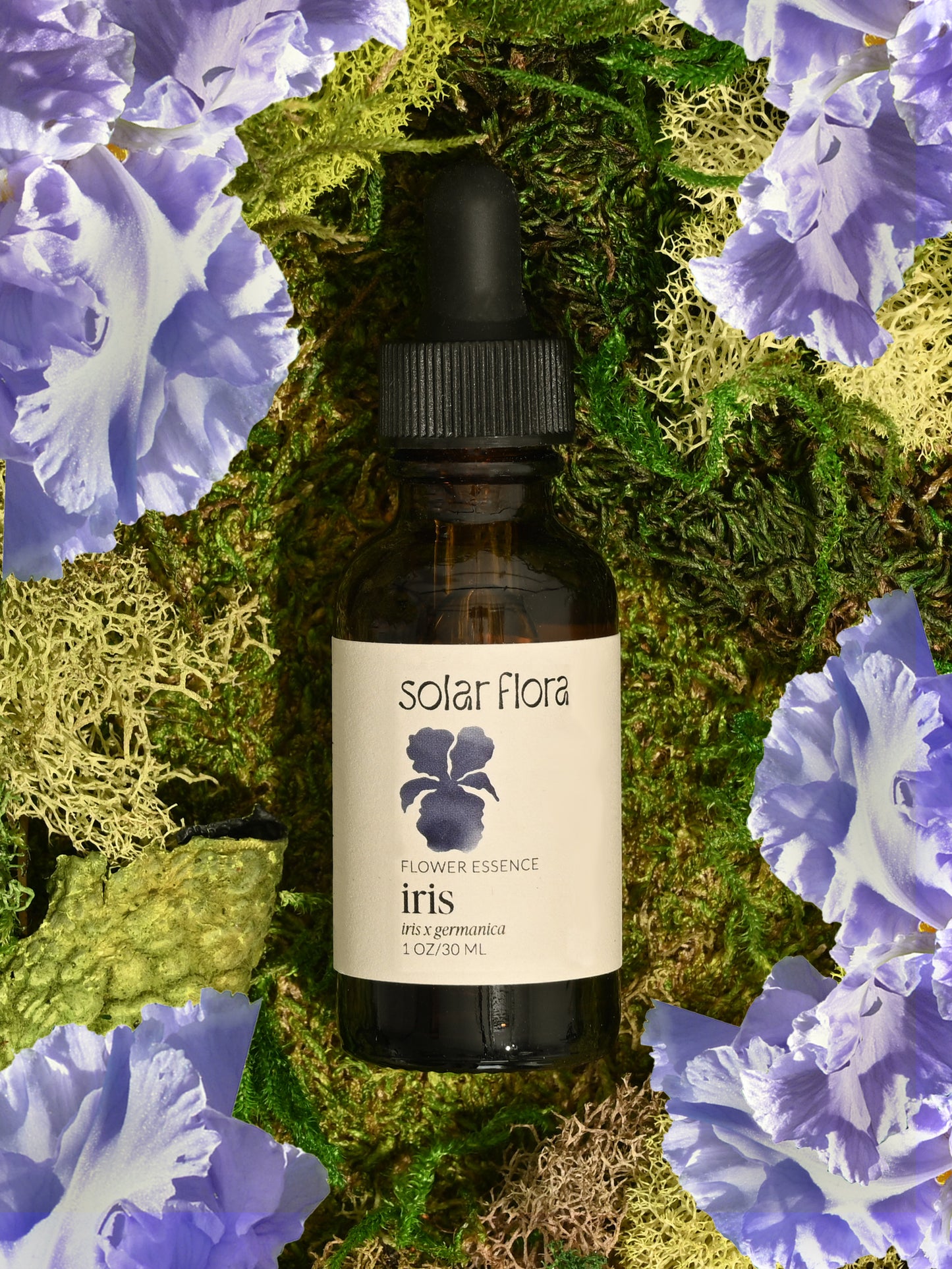 Flower Essence: Bearded Iris