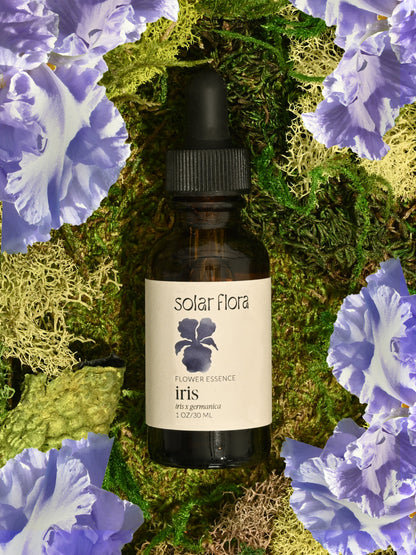 Flower Essence: Bearded Iris