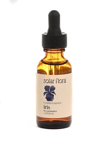 Flower Essence: Bearded Iris