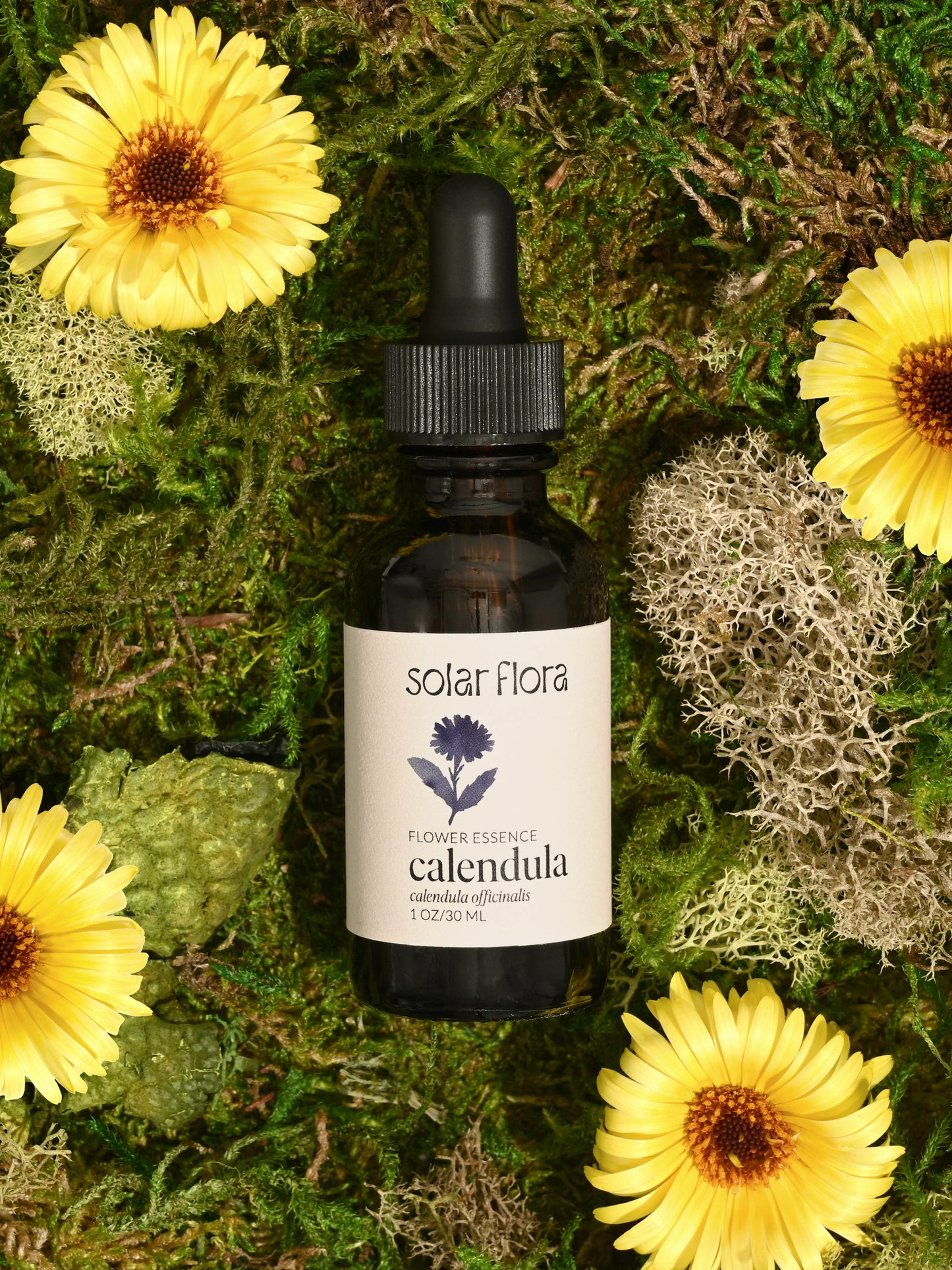 Flower Essence: Calendula