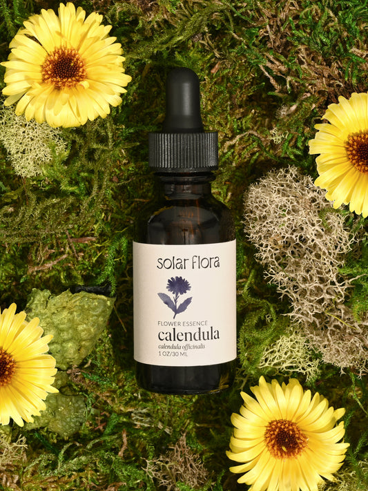 Flower Essence: Calendula